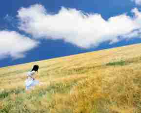 axie自‌动​化​脚﻿本‌